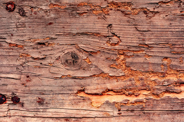 Wooden texture with scratches and cracks. It can be used as a background