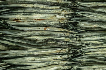 Needle fish in a box at the fishing market. Selling fresh food. Seafood, delicacy. Gourmet cuisine.