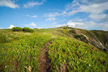 beautiful Atlantic ocean view horizon with sandy beach, rocks and waves at sunrise. . Sintra, Portugal