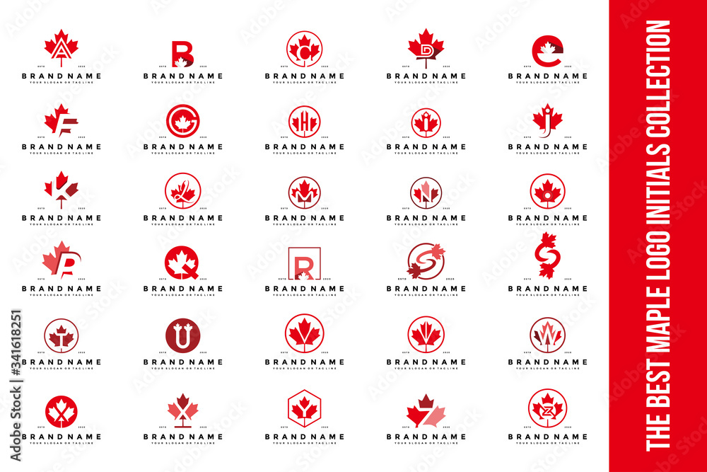 Wall mural set letter maple logo design vector