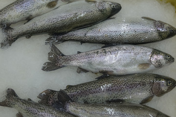 Trout, salmon in a box at the fishing market. Selling fresh food. Seafood, delicacy. Gourmet cuisine.