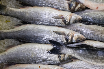 Trout, salmon in a box at the fishing market. Selling fresh food. Seafood, delicacy. Gourmet cuisine.