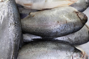 Trout, salmon in a box at the fishing market. Selling fresh food. Seafood, delicacy. Gourmet cuisine.