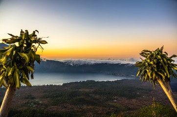 Two palm trees on the top of Batur volcano, Bali