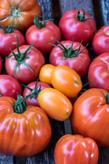 Variety old organic tomatoes on a market