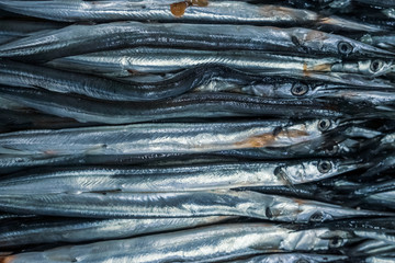 Needle fish in a box at the fishing market. Selling fresh food. Seafood, delicacy. Gourmet cuisine.