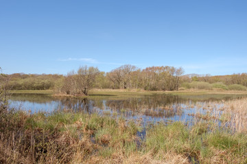 View of a lake surrounded by bushes and trees in a nature reserve under a clear blue sky