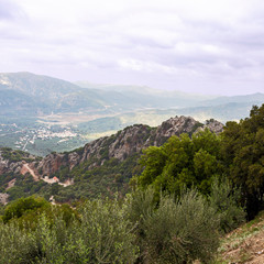 Fototapeta na wymiar view from the mountain to a small Cretan town on a background of gray cloudy sky