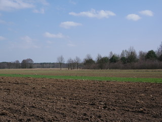 field in spring