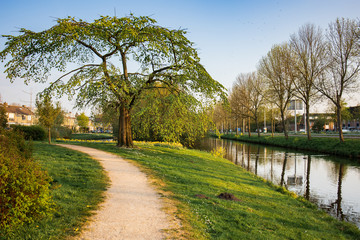 A path with trees on the side of a river