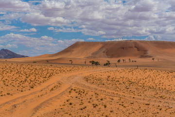 Fototapeta na wymiar Landscape in Namibia