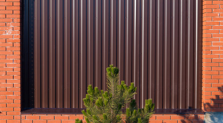 Pine near fence from corrugated board  with brick pillars in early spring