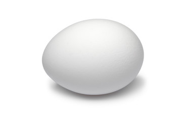 Single fresh white chicken egg close up