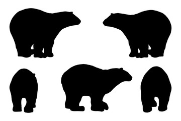 Fototapeta premium 5 black and white set vector polar bear silhouette isolated on white background