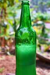 bottle of beer