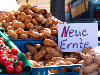 Fresh young potatoe sold on a market in Germany.
