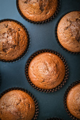 Various homemade muffins in a baking dish with berries, chocolate and mint on a dark background top view copy space.