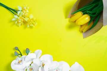 Tender flowers. Monochrome stylish and trendy composition in yellow color on studio background. Top view, flat lay. Pure beauty of usual things around. Copyspace for ad. Holiday, food, fashion.