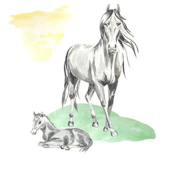 Watercolor illustration of a horse with a foal in a clearing. Perfect for printing, textile design. Souvenir products, web sites, photo albums and other creative fields.