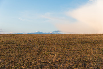 Fototapeta na wymiar View of field in early spring, Moscow Region, Russia