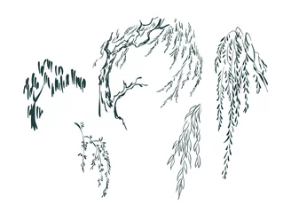 Fototapeten willow tree card nature landscape view vector sketch illustration japanese chinese oriental line art design elements © CharlieNati