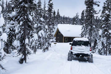 Truck with snowtrack in snowy forest.