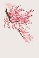 sakura blossom nature landscape view vector sketch illustration japanese chinese oriental line art ink card background