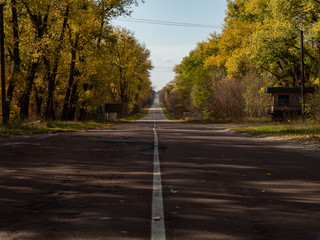 Road which was used for evacuation of residents during the disaster in 1986 in power plant in Chernobyl. Early fall, yellow leaves. Chernobyl Exclusion Zone, Ukraine