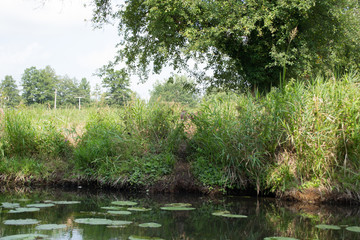 Das Foto wurde in Deutschland aufgenommen, in Dresden. 