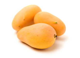 Mango on a white background