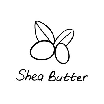 Shea butter. Cosmetic ingredient. Nutritional oil for skin care. Hand-drawn icon of shea nut. Vector illustration.