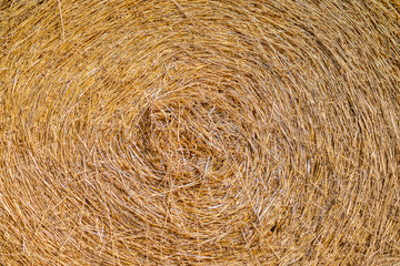 the texture of rolled straw is yellow