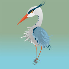 
A vector illustration of a cute blue heron 