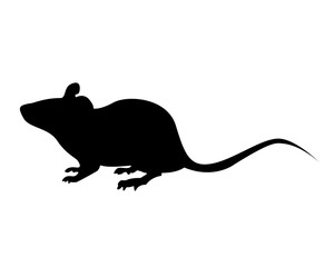 Rat pictogram silhouette vector