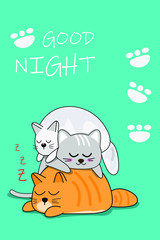 cat with a gift on green background