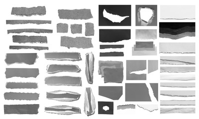 Collection of ripped torn paper isolated on white background