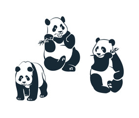 Fototapety  panda bear sketch vector japanese chinese design isolated elements