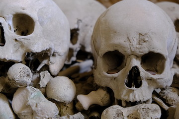 skulls and bones in dark scenery 