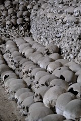 Obraz premium skulls and bones in dark scenery 