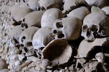 skulls and bones in dark scenery 