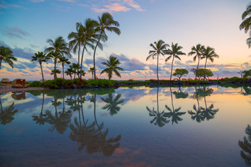 Fototapeta na wymiar Palm trees reflected in pool of water at Poipu beach, Kauai