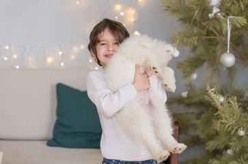  Boy, home, samoyed puppy, fun, Christmas tree