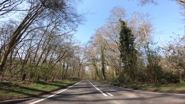 Driving through woodland in the English countryside on a sunny day with trees either side of the road