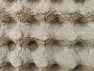 Paper tray for egg background and texture. Close-up empty cardboard