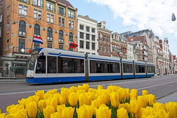 Tram driving on an empty Rokin in Amsterdam the Netherlands during the corona crisis