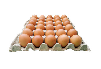 Chicken eggs in paper tray isolated on white background without shadow. 30 eggs in carton box