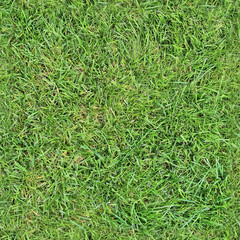 High resolution texture pattern of green grass on a field
