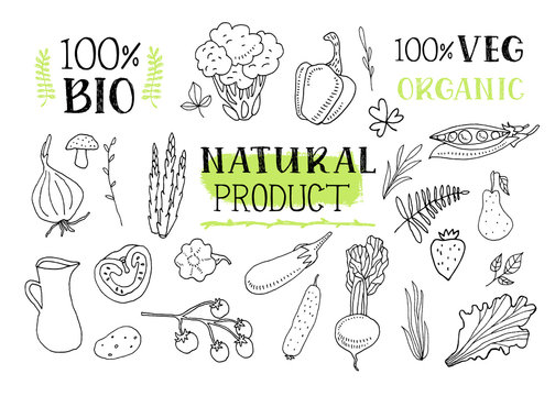 Natural product. Set of various doodles, hand drawn rough simple sketches of different kinds of vegetables. Vector freehand illustration isolated on white background.