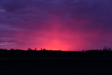 Obraz premium purple sunset