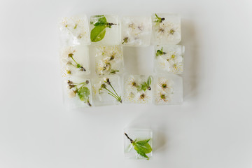 Frozen small leaves and flowers in ice cubes. Concept of protection of environment and nature. Global warming. 